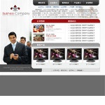 2012家电生产企业网站