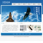 3141  广告设计公司网站